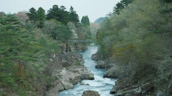 中尊寺と厳美渓に行ってきた